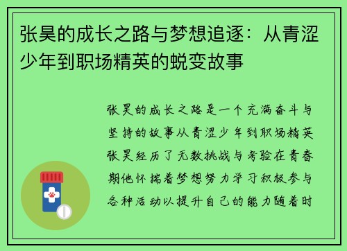 张昊的成长之路与梦想追逐：从青涩少年到职场精英的蜕变故事
